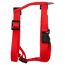 Rotes Hundegeschirr