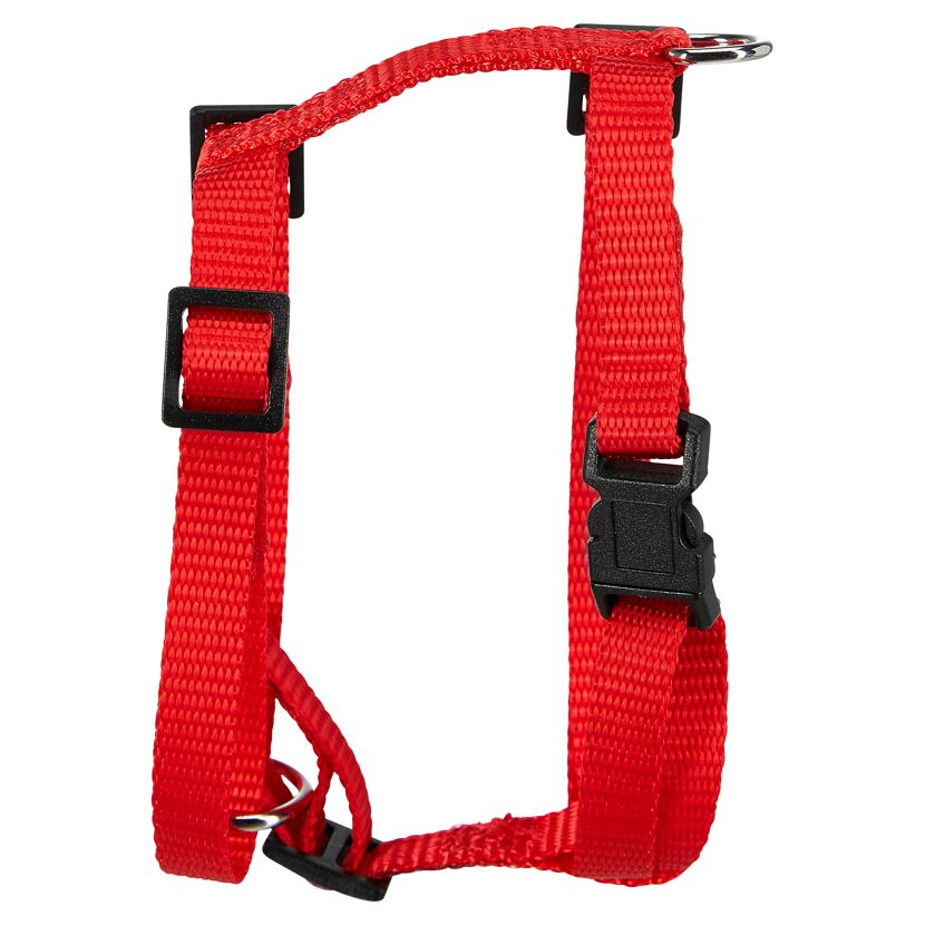 Rotes Hundegeschirr