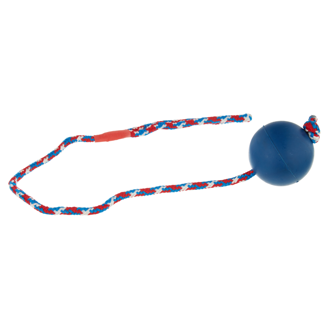 Bild von Hundespielzeug Gummiball Kordel blau Ø 6,3 cm