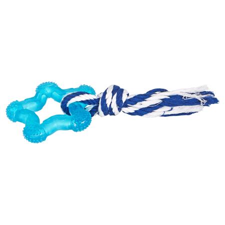 4. Bild von Hundespielzeug \