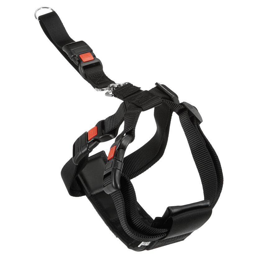 Sicherheistgeschirr für Hunde schwarz Gr. L 50 - 70 cm