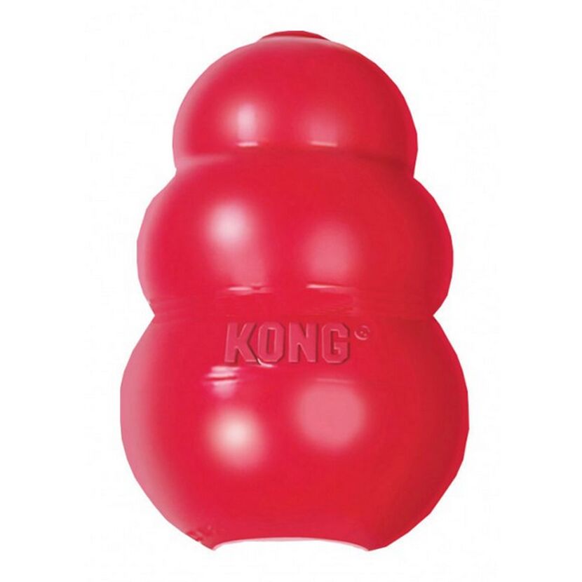 Rotes Kong Hundespielzeug