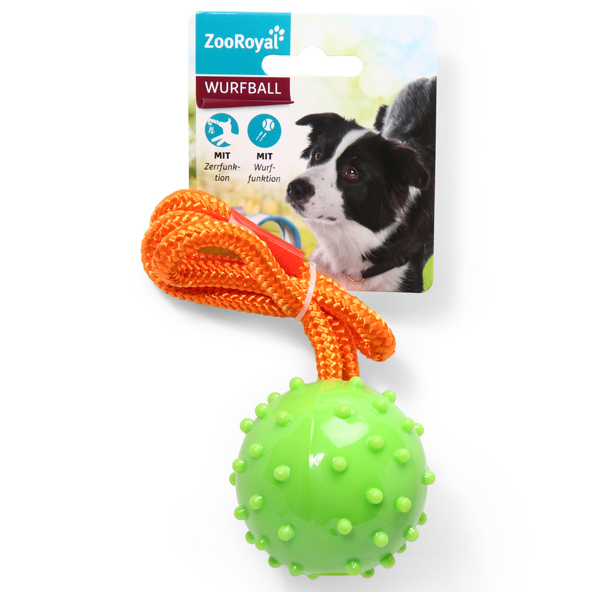 Hundespielzeug Wurfball am Seil