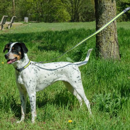 3. Bild von LED-Hundehalsband gelb 56 cm