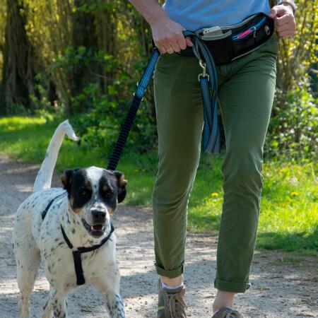 4. Bild von Joggingleine blau 2,5 m