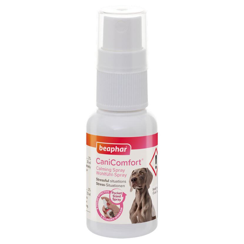 Beruhigungsspray für Hunde von Beaphar