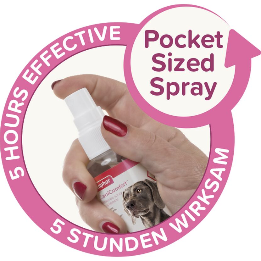 Person hält CaniComfort Sprayflasche