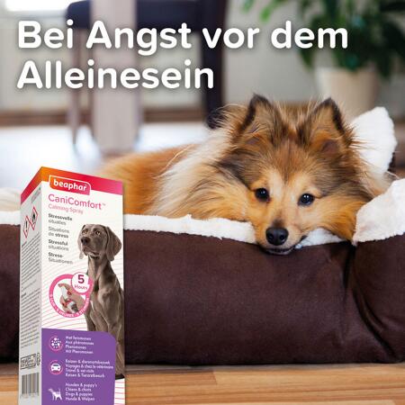 5. Bild von CaniComfort® Wohlfühl-Spray, 60ml