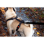 Verkleinertes Bild von Hundegeschirr 'Art Sportiv Plus'  Triangle schwarz 25 - 40 cm
