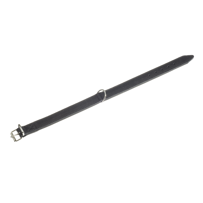 Bild von Hundehalsband 'Rondo' schwarz 42 x 2,4 cm