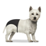 Verkleinertes Bild von Schutzhose für Hunde schwarz 12,5 x 24-31 cm