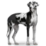 Verkleinertes Bild von Schutzhose für Hunde schwarz 12,5 x 50-59 cm