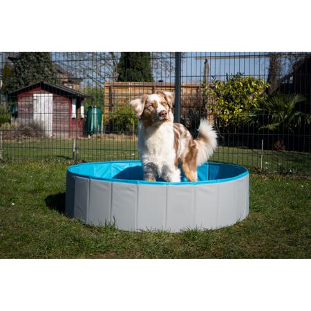 2. Bild von Hundepool grau/petrolblau PVC Ø 80 x 20 cm