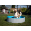 Verkleinertes Bild von Hundepool grau/petrolblau PVC Ø 120 x 30 cm