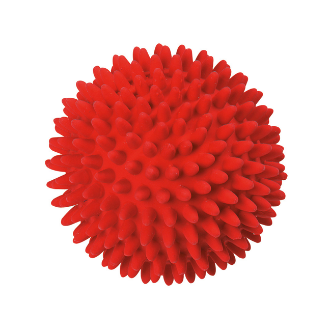 Bild von Hundespielzeug Igelball rot aus Latex