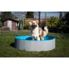 Hund im Hundepool im Garten
