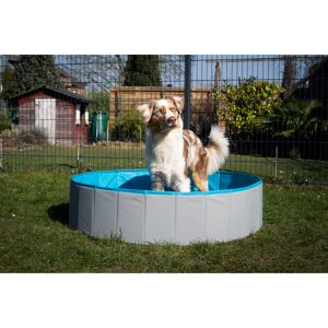 Hundepool grau/petrolblau PVC Ø 160 x 30 cm