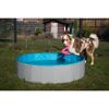 Hund mit Spielzeug am Hundepool