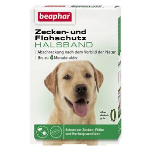 Zecken- und Flohband für Hunde 65 cm