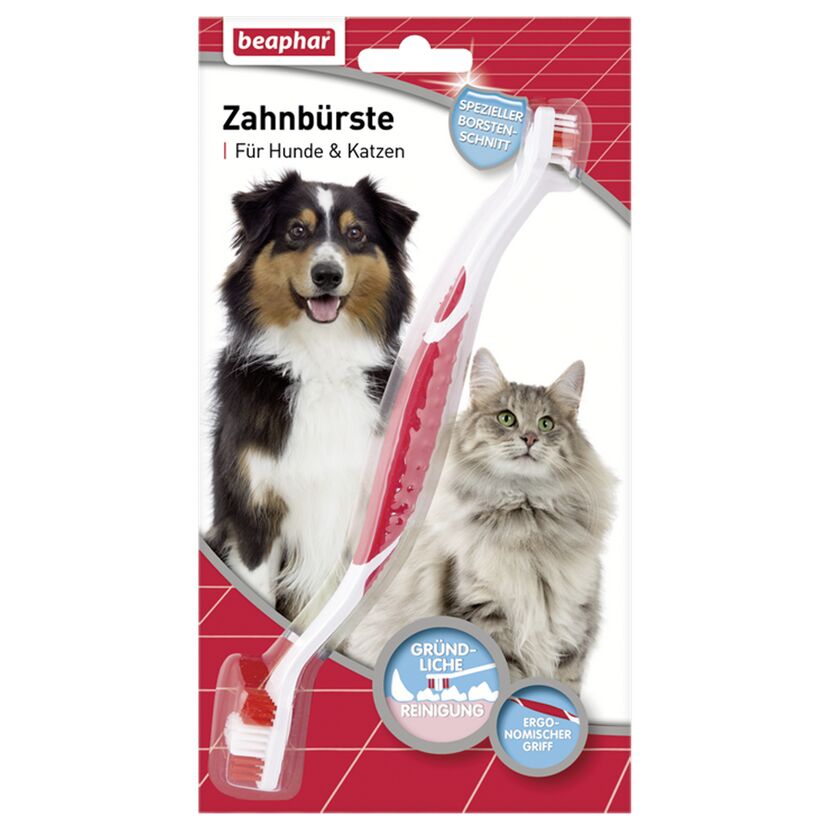 Beaphar Zahnbürste für Hunde und Katzen