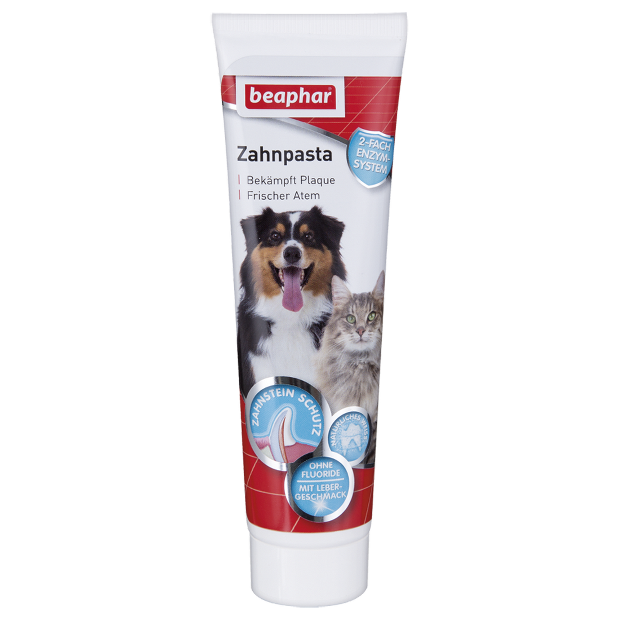 Zahnpasta für Hunde und Katzen 100 g + product picture