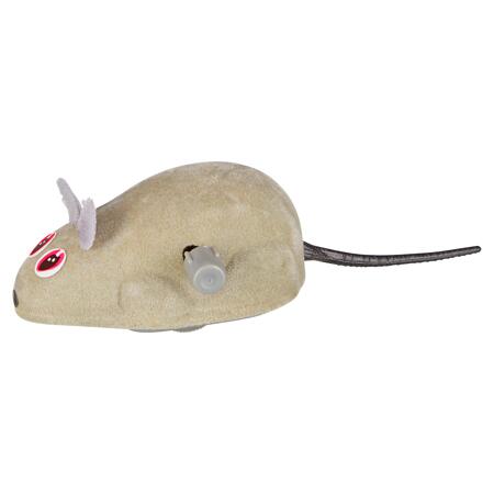 2. Bild von Rennmaus \