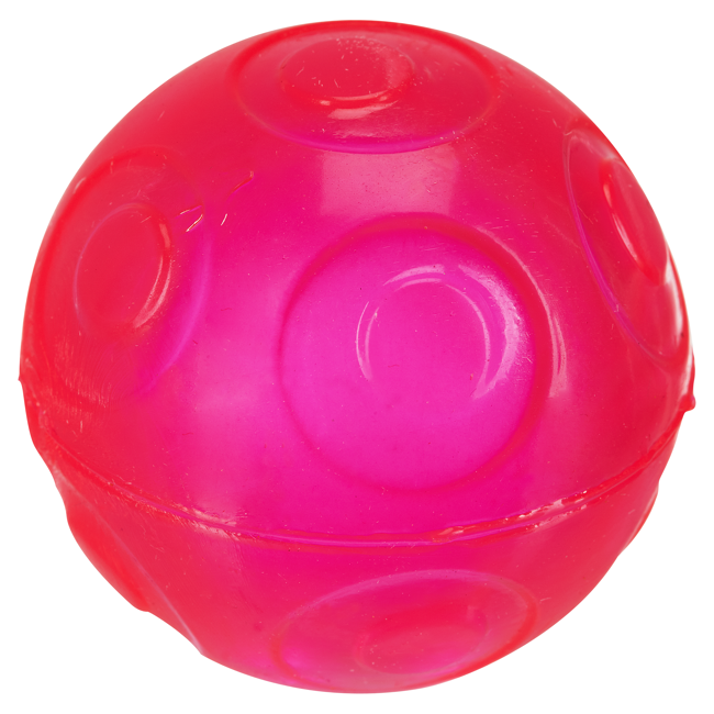 Bild von Katzenspielzeug \