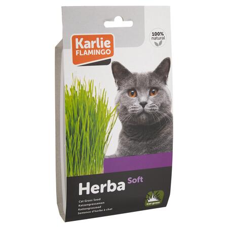 2. Bild von Katzengrassamen \