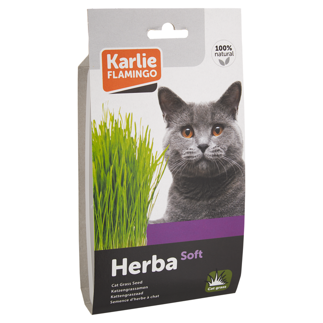 Bild von Katzengrassamen \