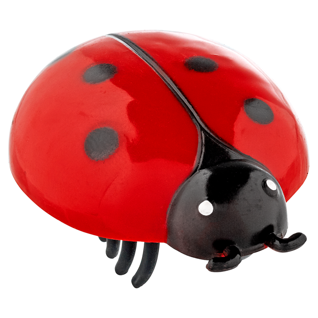 Bild von Katzenspielzeug \