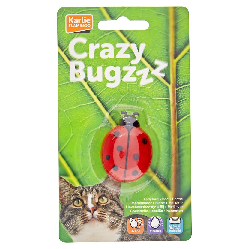 Katzenspielzeug "Crazy Bug" 5 x 4 x 2 cm