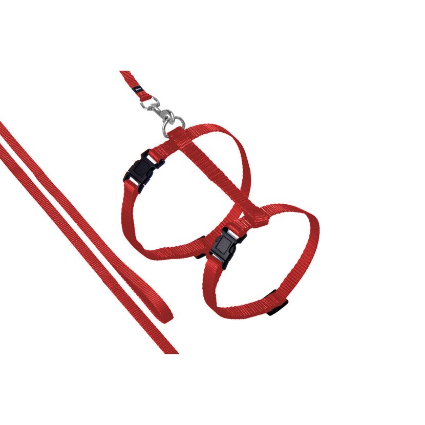 Rotes Hundegeschirr mit Leine