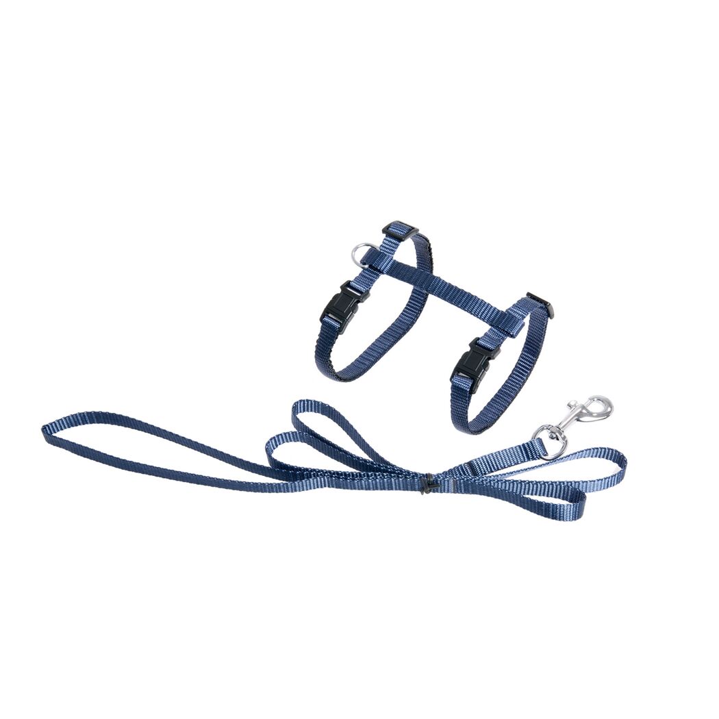 Blaues Hundegeschirr mit Leine