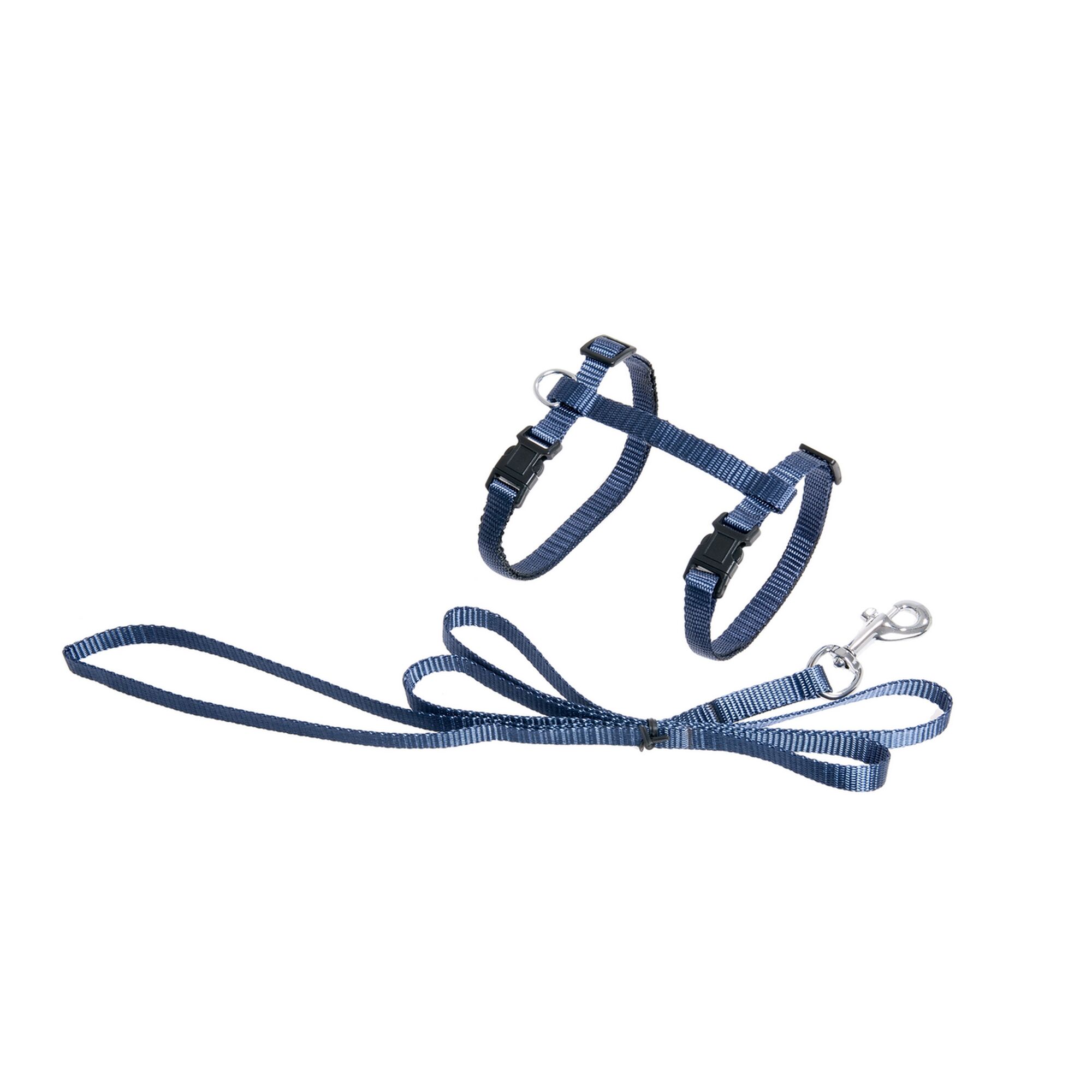 Blaues Hundegeschirr mit Leine