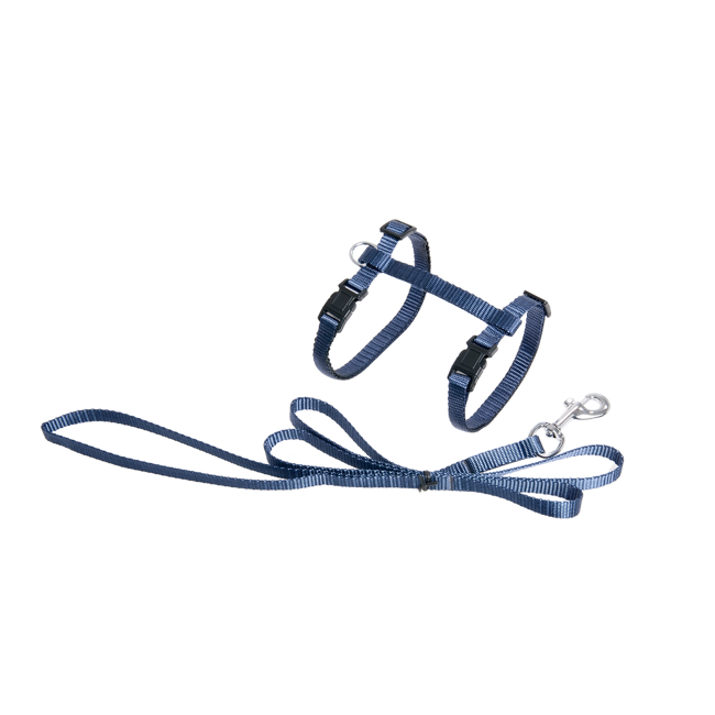 Bild von Geschirr mit Leine 'Art Sportiv Plus' blau, 110 cm