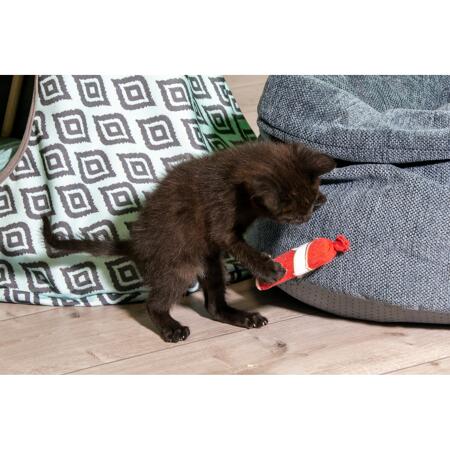 5. Bild von Katzenspielzeug Texil Salami rot mit Catnip 10 cm