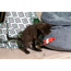 Verkleinertes Bild von Katzenspielzeug Texil Salami rot mit Catnip 10 cm