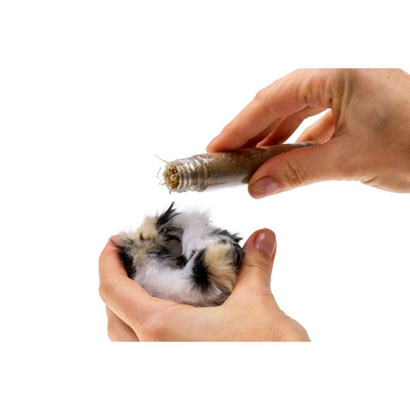 Hände füllen Katzenminze in ein Katzenspielzeug