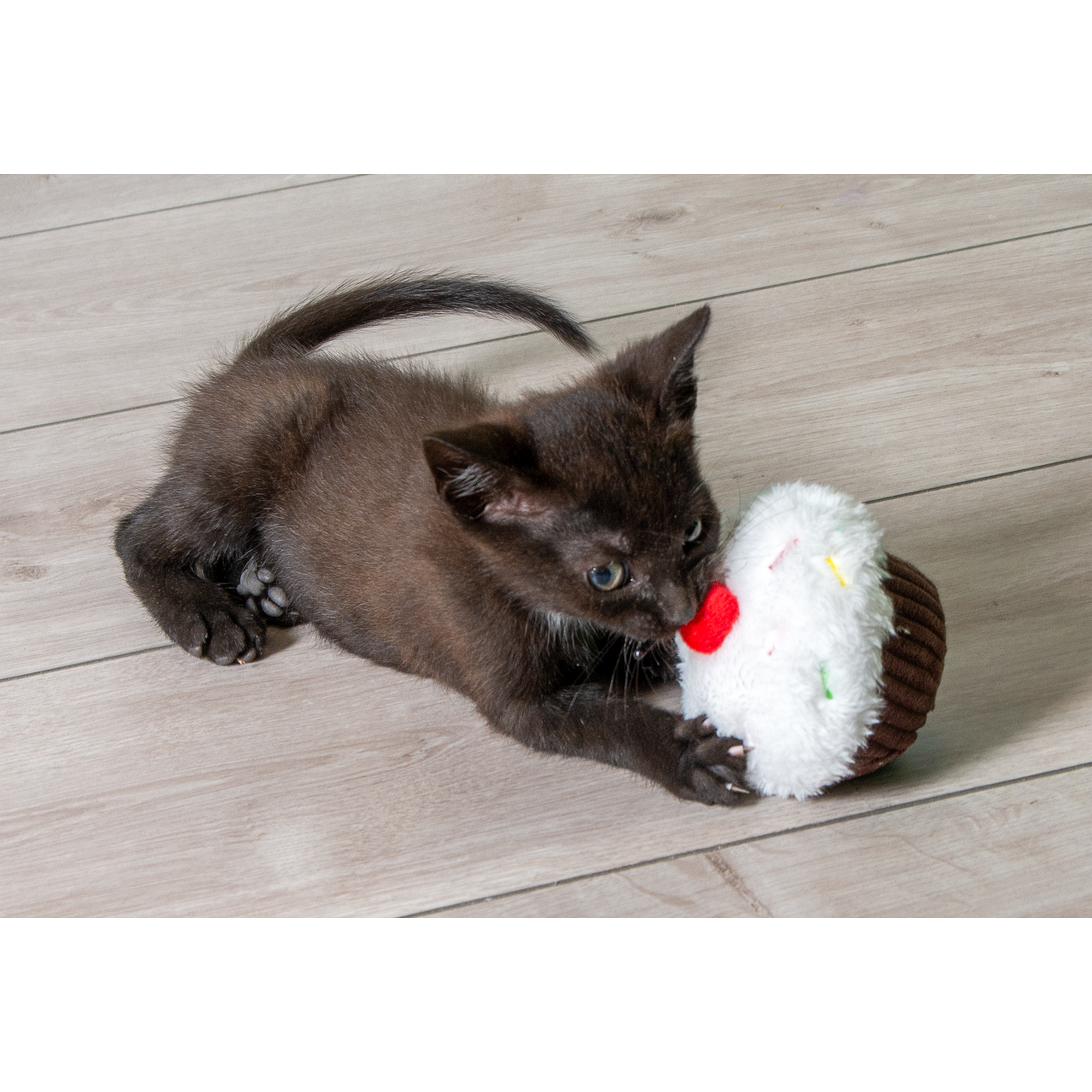 Katzenspielzeug Texil Cupcake weiß/braun mit Catnip 8 cm + product picture