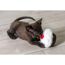 Schwarzes Katzenjunges spielt mit Cupcake-Spielzeug.