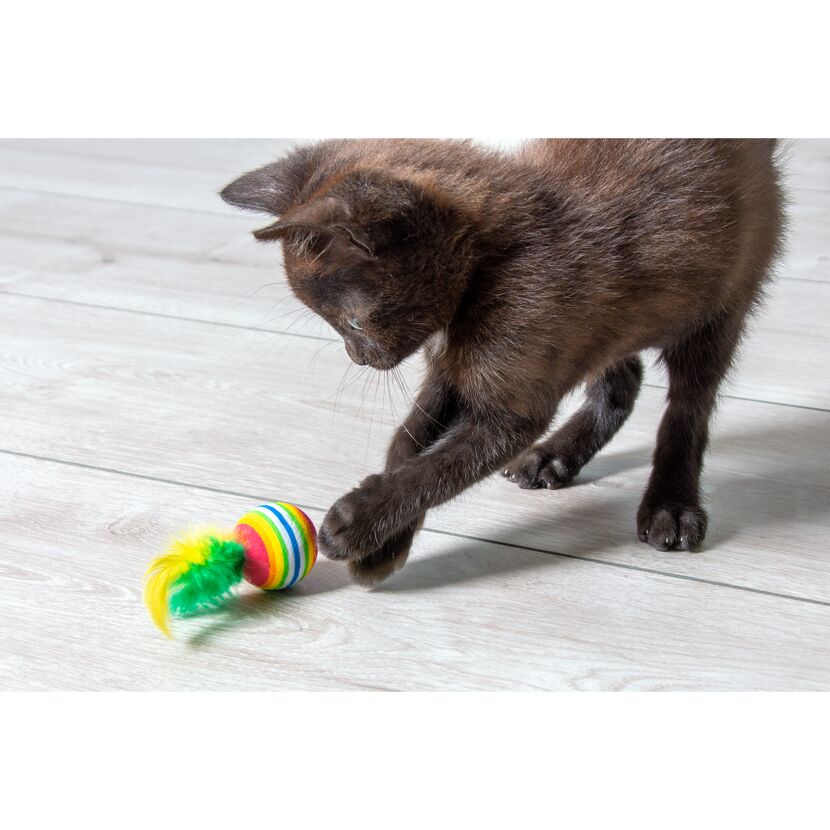 Schwarzes Kätzchen spielt mit buntem Katzenspielzeug.