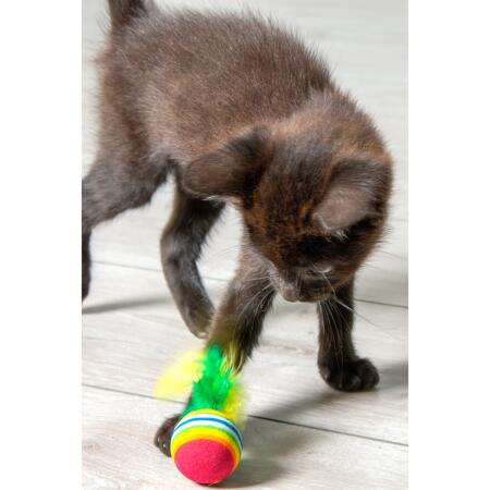 4. Bild von Katzenspielzeug 4 Regenbogenbälle mit Feder, mehrfarbig Ø 3 cm
