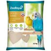 hauptbild