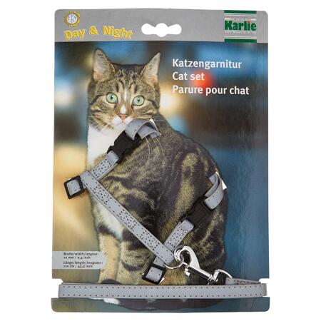 3. Bild von Katzengeschirr \