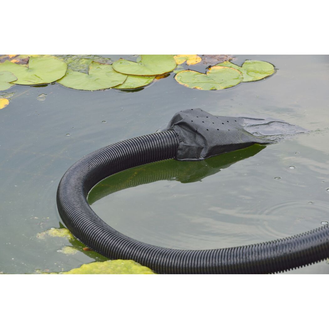 Eheim Vac 40 im Teich mit Seerosenblättern