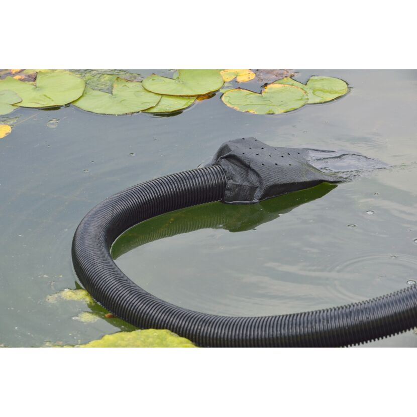 Eheim Vac 40 im Teich mit Seerosenblättern