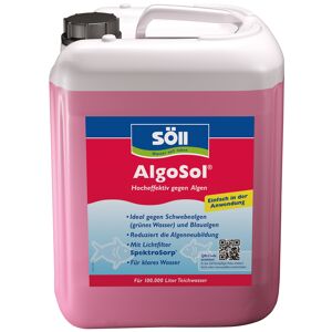 Algenmittel 'AlgoSol' 5 l