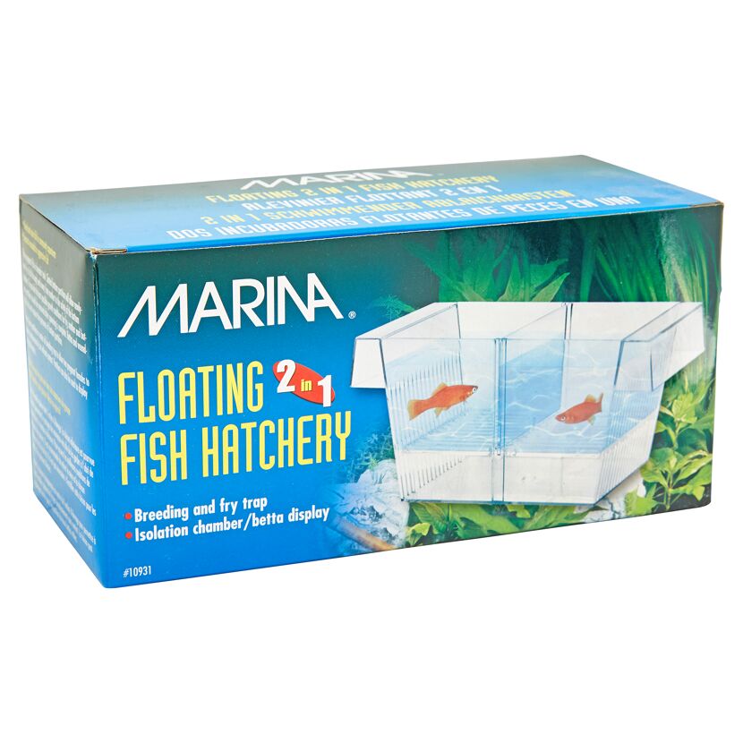 Marina schwimmender Ablaichkasten