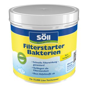 Filterstarter-Bakterien 500 g