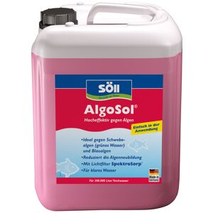 Algenmittel 'AlgoSol' 10 l